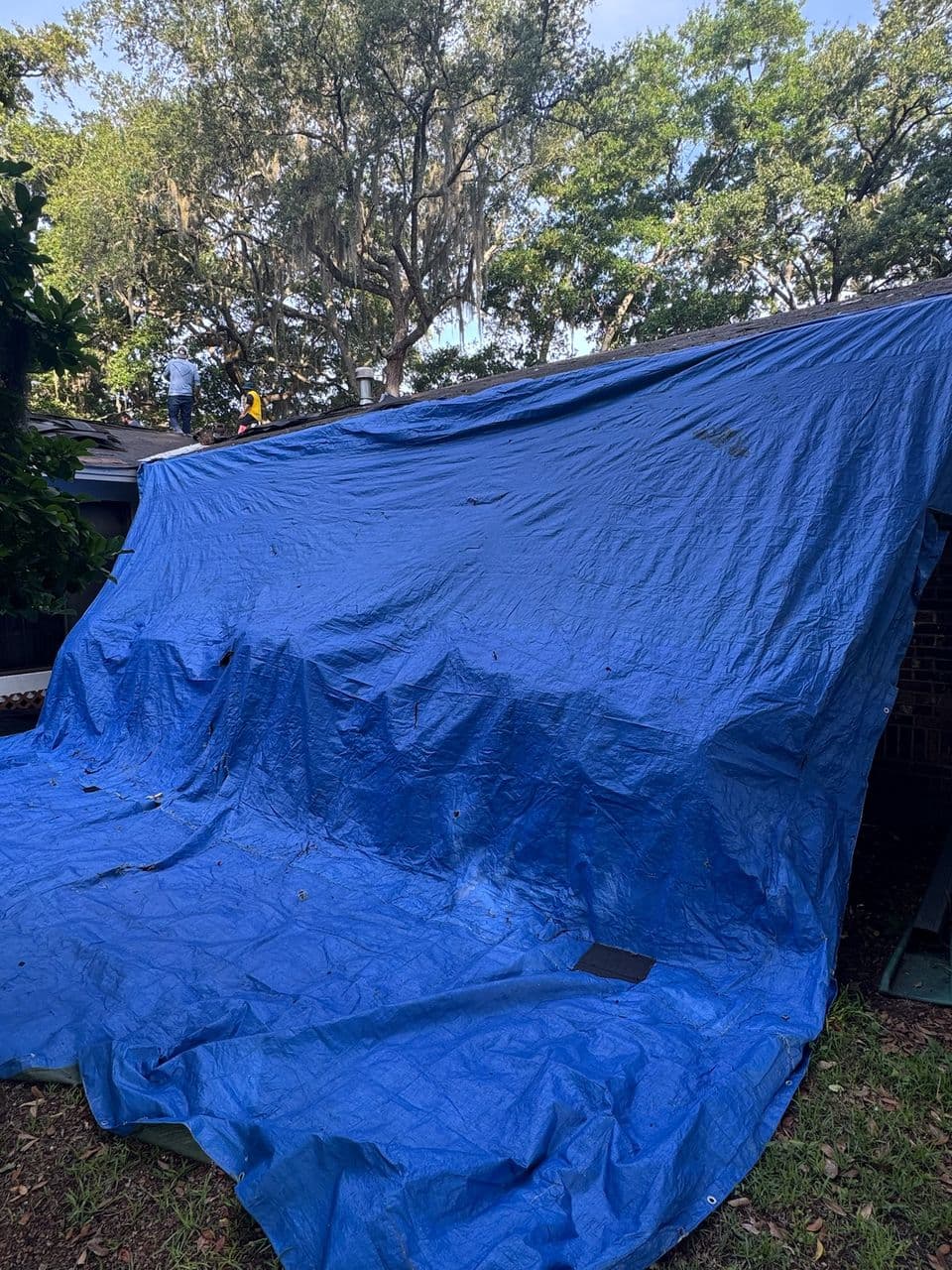 Landscaping protected with tarps during a roof replacement